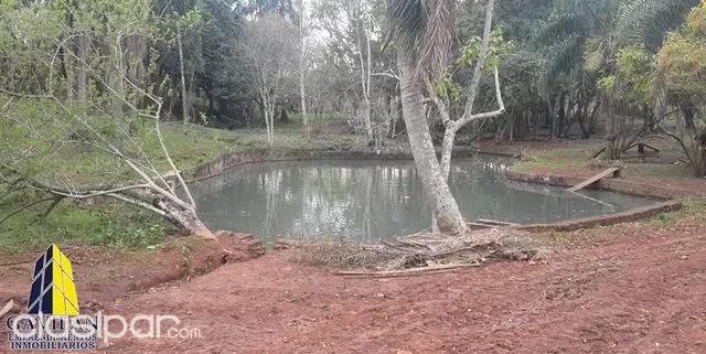 Granja a solo 600m de la ruta internacional — foto 3