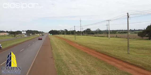 40 Hectareas sobre ruta Internacional km 24 acaray — foto 3