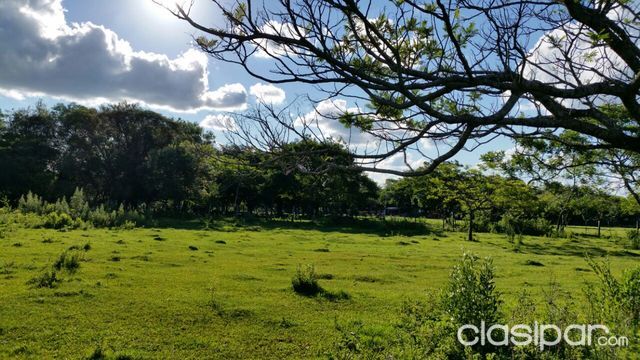 ¡Deténgase y atrape esta oferta única! — foto 2