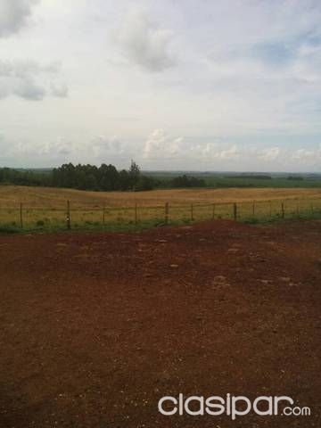Vendo Hermoso Terreno de 7,6has En Bella Vista!!! — foto 2