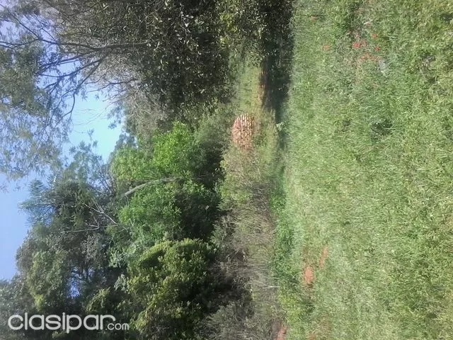 en pirayu linda zona — foto 2