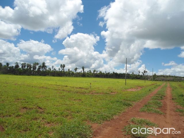 Vendo Lotes en Zona Terminal de Piribebuy — foto 3