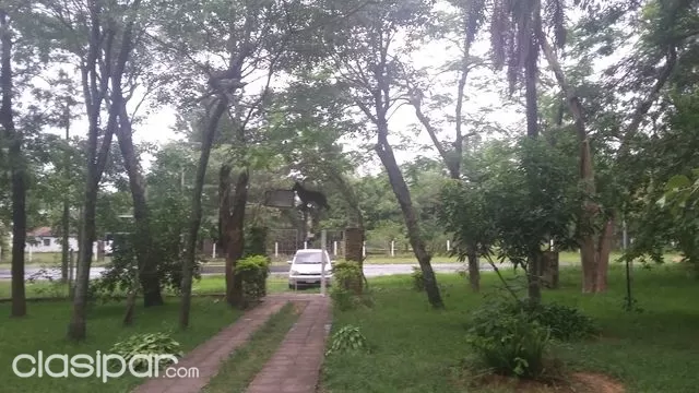oferta vendo casa quinta en villeta sobre la ruta principal a 1km del desvío alberdi — foto 3