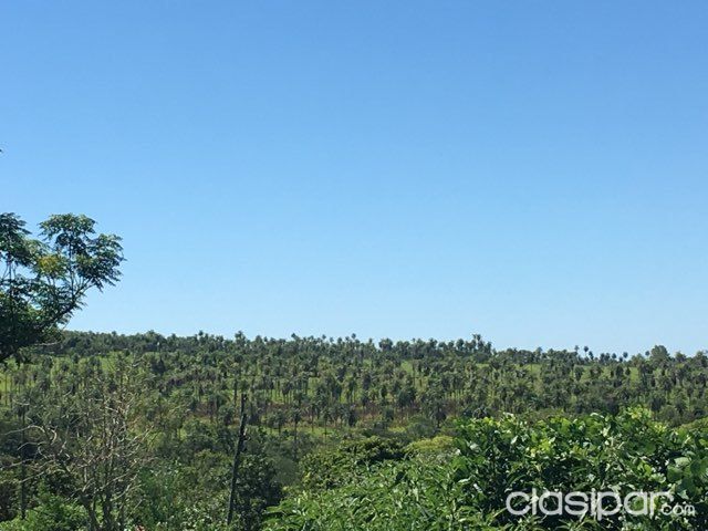 Vendo 9 Hectáreas en Piribebuy 90 x 1000 mts con salida a 4 calles a 1000 mts de la ruta que une ruta 1 con ruta 2 yhaguymi — foto 3