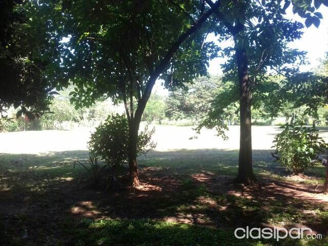 Vendo terreno especial para loteamiento — foto 2