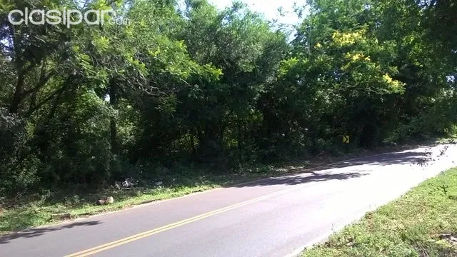 vendo 14 terreno Aregua luque sobre ruta — foto 2