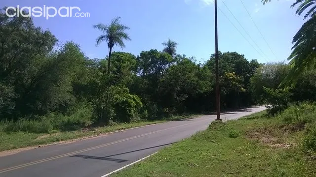 vendo 14 terreno Aregua luque sobre ruta — foto 3