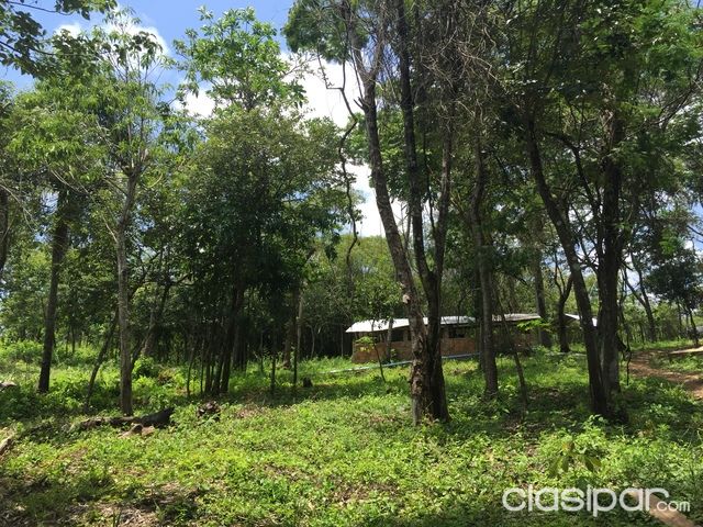 VENDO TERRENO — foto 2