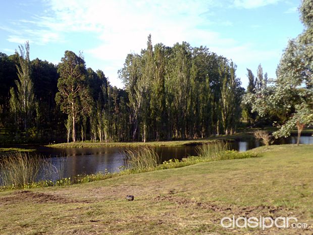 PUNTA DEL ESTE CON ESCRITURA SIN EXPENSAS 2000m2 — foto 2