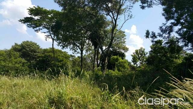 VENDO TERRENO ENTRE SAN ANTONIO Y VILLA ELISA — foto 2