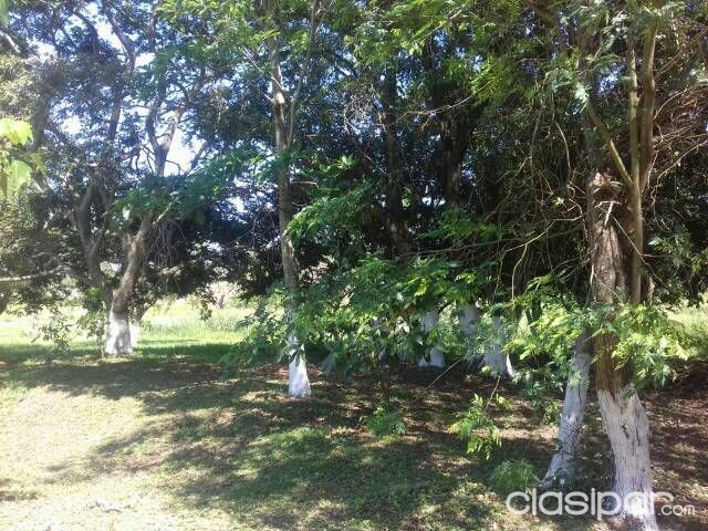 Vendo terreno — foto 3