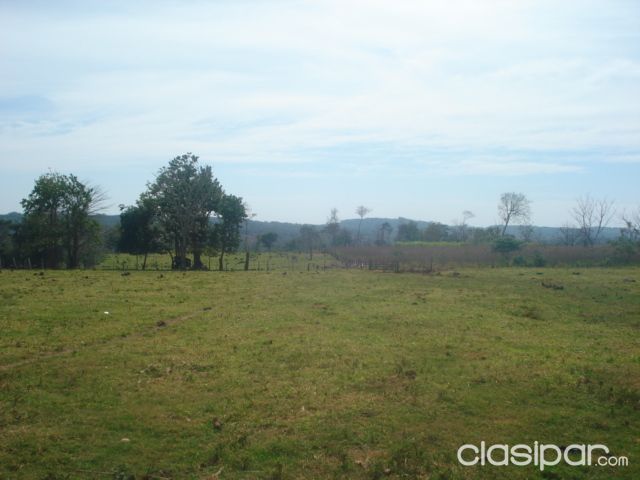 OFERTA vendo hermoso terreno oviedo — foto 2