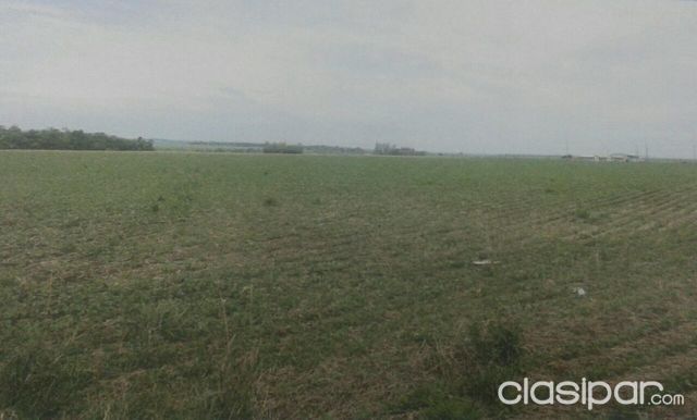 VENDO 33.1 HECTAREAS EN PUERTO INDIO — foto 3