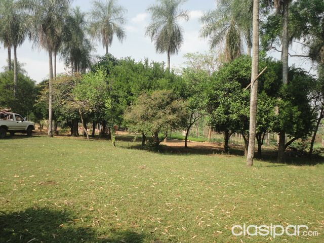 VENDO GRANJA ECOLÓGICA EN FORMACIÓN — foto 2