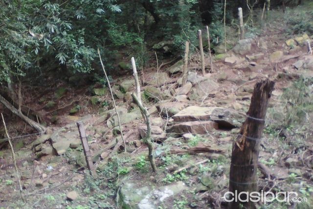 VENDO GRANJA ECOLÓGICA EN FORMACIÓN — foto 3