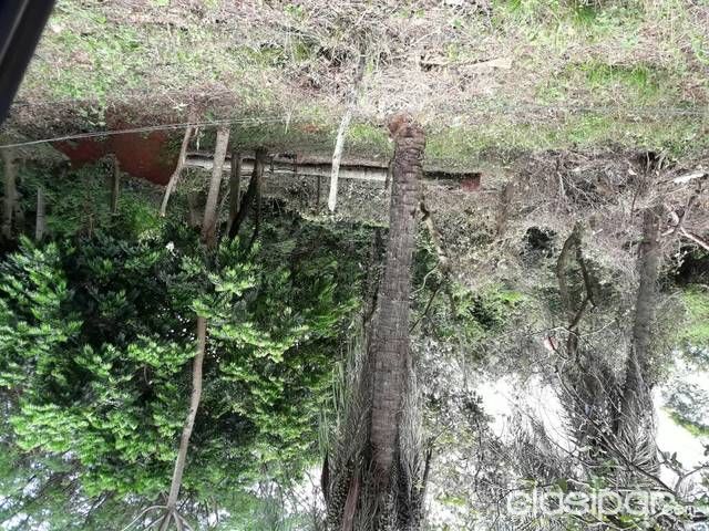 Vendo terreno en limpio — foto 2