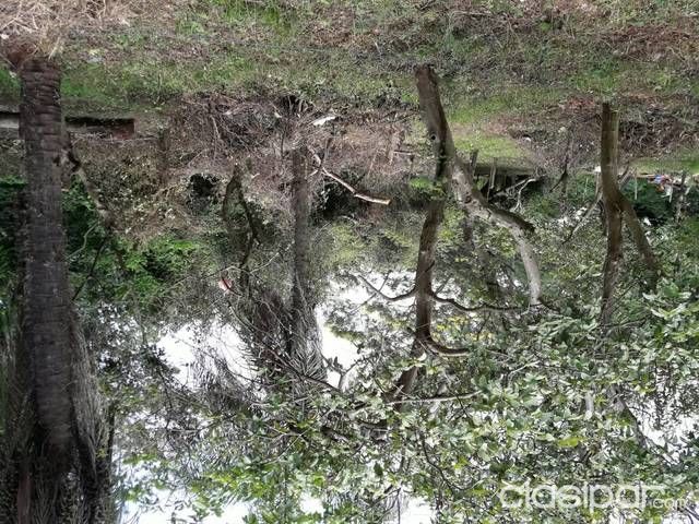 Vendo terreno en limpio — foto 3