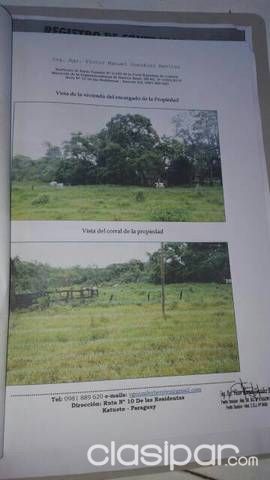 VENDO 20 HECTÁREAS MECANIZADAS — foto 3