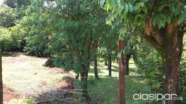 VENDO 2 TERRENOS JUNTOS SOBRE ASFALTO KM. 6 — foto 2