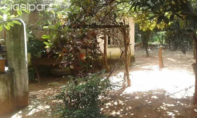 VIVIENDA CON BUEN PATIO EN EUSEBIO AYALA CORDILLERA — foto 2