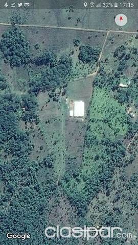 Vendo terreno de 4ha con invernaderos — foto 3