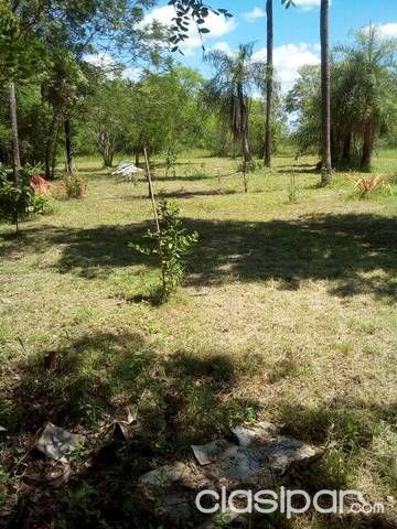Invierta en futuro y tranquilidad excelente pesca, buena forestación — foto 3