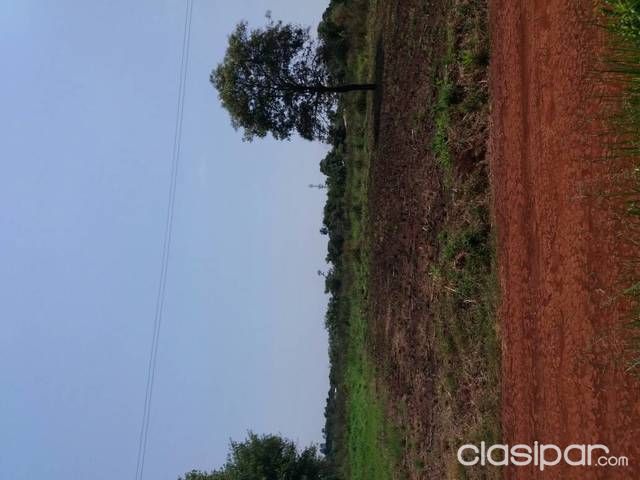 Terreno en tres fronteras — foto 2