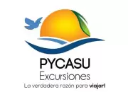 ATENCION CHICOS QUIEREN VIAJAR Y GANAR DINERO?