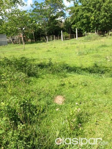 NEGOCIABLE ZONA LUQUE-LIMPIO!! — foto 2