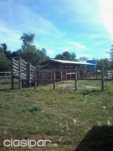 FEEDLOT DE 107 HECTÁREAS A 90 KM DE ASUNCIÓN — foto 3