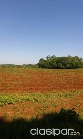 Vendo propiedad rural de 7 hectarea — foto 2