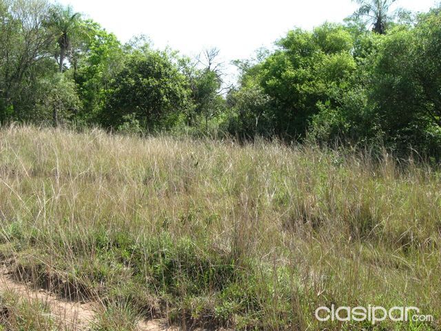Terreno Paso Yobai — foto 2