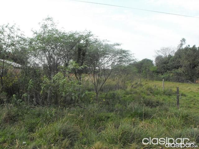 Vendo terreno de 1.000 Mts cuadrados en San José de los Arroyos — foto 2