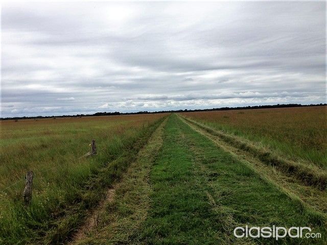 Vendo Estancia Modelo en Arroyos y Esteros de 288 has, listo para Trabajar!!! — foto 2