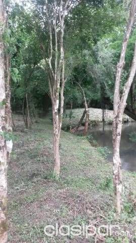 Un arroyo único en su belleza — foto 2