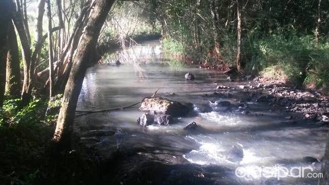 Un arroyo único en su belleza — foto 3