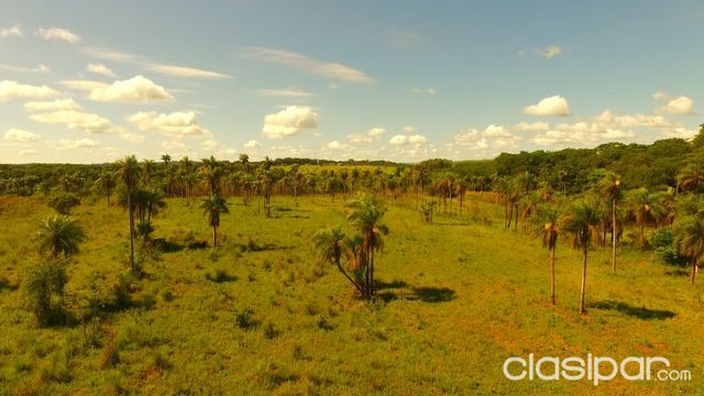 Terreno rural a orillas del arroyo — foto 2