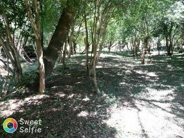 Arroyo en Capitán Miranda — foto 3