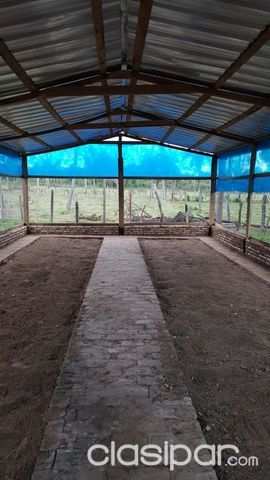 VENDO GRANJA — foto 2