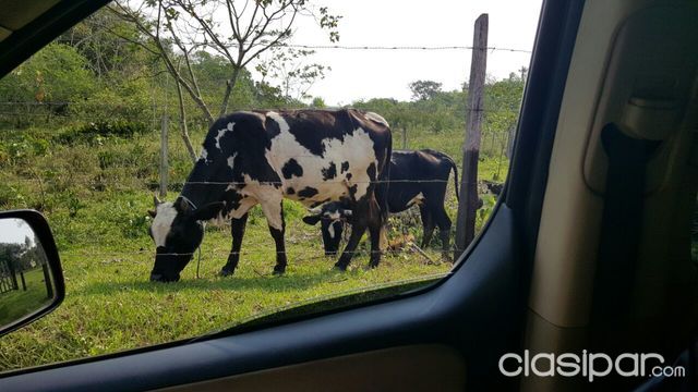 VENDO GRANJA — foto 3