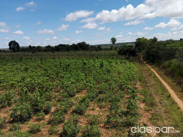 SUPER OFERTA!!! Terreno de 42 hectáreas en Caaguazu — foto 2