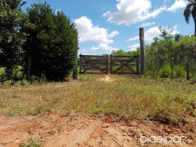 SUPER OFERTA!!! Terreno de 42 hectáreas en Caaguazu — foto 3