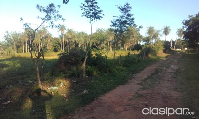 Urgente!!!! Vendo 18.419 m2 en Limpio, a 30 metros de la ruta Luque-Limpio. — foto 2