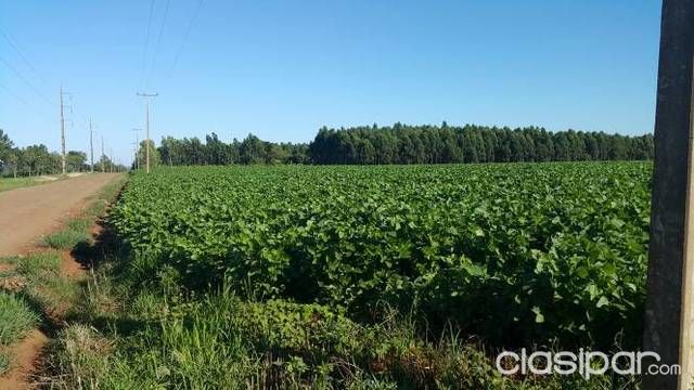 PRECIOSO TERRENO EN ENCARNACION — foto 2