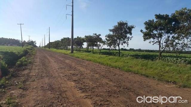PRECIOSO TERRENO EN ENCARNACION — foto 3