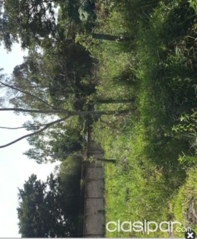 Vendo Terreno en Luque!!!!! — foto 3