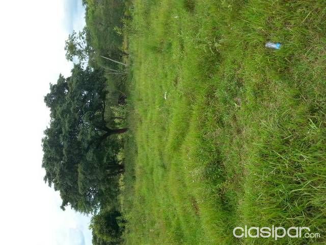 venta de terreno en alto parana — foto 3