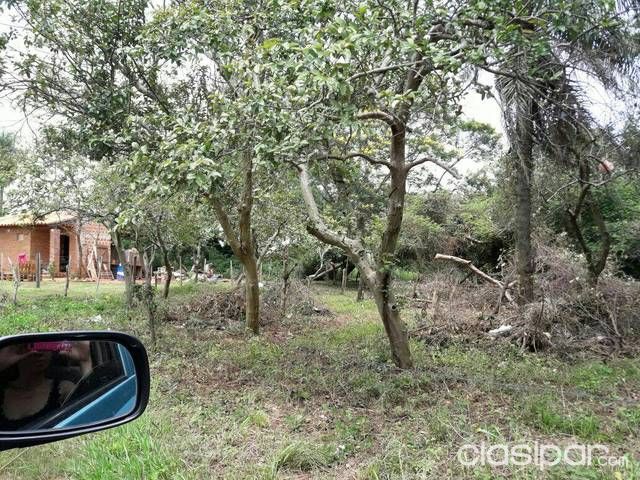 Vendo Propiedad de 1335m2 — foto 3