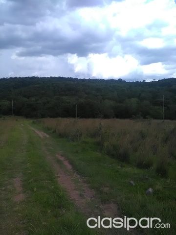 Vendo 15 hectáreas en el Departamento de Paraguari — foto 3