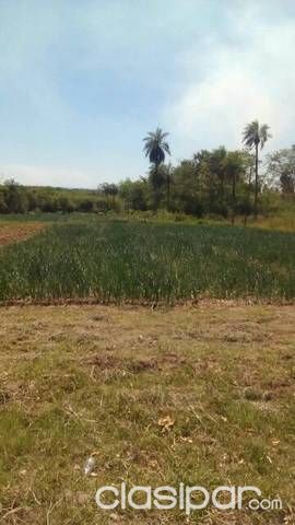 Vendo una propiedad de 10 hectarea especial para invercionista y tbien para loteamiento — foto 3